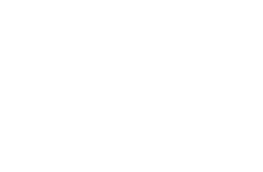 Logotipo blanco de gelsoft spain